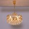 Gilded Brass and Glass Chandelier from Palwa, 1960s 3