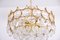 Gilded Brass and Glass Chandelier from Palwa, 1960s, Image 4