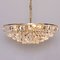 Large Gilded Brass and Crystal Glass Chandelier from Palwa, 1950s, Image 6