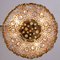 Lámpara de araña de latón dorado y cristal incrustado de Palwa, años 60, Imagen 8