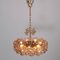 Lámpara de araña de latón dorado y cristal incrustado de Palwa, años 60, Imagen 5