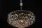 Crystal Chandelier by Bakalowits for Bakalowits & Söhne, 1960s 9