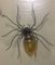 Italienische Spider Wandlampe, 1940er 7