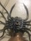 Italian Spider Sconce, 1940s 6