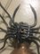 Italienische Spider Wandlampe, 1940er 6