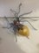 Italienische Spider Wandlampe, 1940er 8