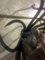 Italienische Spider Wandlampe, 1940er 4