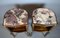 Antique Louis XV Style French Nightstands, Set of 2 3