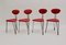 Red Lounge Chairs by Günter Talos, 1950s, Set of 4 5