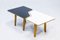 B14 Multi Table by Cees Braakman for Pastoe, 1950s, Image 2