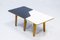 B14 Multi Table by Cees Braakman for Pastoe, 1950s, Image 1