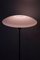 Floor Lamp from ASEA, 1950s 9