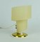 Small Mid-Century Brass and Plastic Table Lamp, 1950s 5
