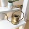 Vintage Brass Waterer Home Accessory 2