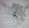 Vintage Italian Murano Glass Chandelier with 41 Glass Petals, 1980, Immagine 8