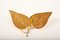Vintage Italian Double Golden Leaf Sconce from Tommaso Barbi, 1970s, Image 10
