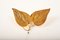 Vintage Italian Double Golden Leaf Sconce from Tommaso Barbi, 1970s, Image 1