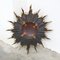 Antique Bronze Sunburst Mirror 12