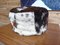 Cowhide Pouf, 1960s, Image 4