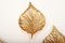 Vintage Italian Brass Model Golden Leaf Sconce from Tommaso Barbi, Image 5