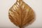 Vintage Italian Brass Model Golden Leaf Sconce from Tommaso Barbi 9