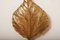 Vintage Italian Brass Model Golden Leaf Sconce from Tommaso Barbi, Image 9