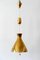 Mid-Century Counterweight Brass Pendant Lamp from Vereinigte Werkstätten Collection, 1960s 12