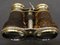 19th Century British Binoculars 3
