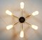 Mid-Century Metal and Brass 6 Glass Shade Sputnik Ceiling Lamp, Image 4