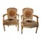 French Armchairs, 1920s, Set of 2 1