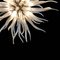 Lampada da soffitto Medusa vintage di Simone Cenedese, Immagine 3