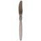 Sterling Silver and Stainless Steel Model Cactus Dinner Knife by Georg Jensen, 1940s 1