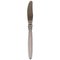 Sterling Silver and Stainless Steel Model Cactus Dinner Knife by Georg Jensen, 1940s, Image 1