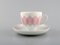 Bjørn Wiinblad for Rosenthal Pink Lotus Porcelain Coffee Service, 1980s, Set of 12 2