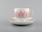 Bjørn Wiinblad für Rosenthal Pink Lotus Porzellan Kaffeeservice, 1980er, 12er Set 2