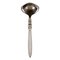 Georg Jensen Cactus Sauce Spoon in Sterling Silver and Stainless Steel, 1940s, Image 1