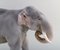 Antique Porcelain Elephant Sculpture by Theodor Madsen for Royal Copenhagen 5