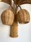 Vintage French Rattan Palm Tree Sconces, Set of 2 4