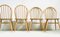 Vintage Light Elm and Beech Dining Chairs by Lucian Ercolani for Ercol, 1960s, Set of 4 3