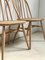 Vintage Light Elm and Beech Dining Chairs by Lucian Ercolani for Ercol, 1960s, Set of 4 4