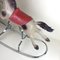 Eurotoys Children's Rocking Horse in Plastic and Iron, Italy, 1980s 5