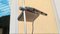 Black Brown Model 70 1105/ D Floor Lamp by Bruno Gecchelin for Arteluce, 1980s, Image 9