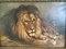 Geza Vastagh, Lion et Lionne, 1900s, Huile sur Toile, Encadrée 5