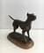 German Mastiff Figure by Henri Payen, 1920s 2