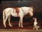 Horse and Dog Paintings, 19th-Century, Oil on Canvas, Framed, Set of 2 5