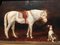 Pferd und Hund Gemälde, 19. Jh., Öl auf Leinwand, gerahmt, 2er Set 5