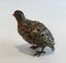 Pigeon Viennois en Bronze, 1880s 5