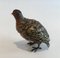 Viennese Bronze Pigeon, 1880s 5