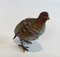 Pigeon Viennois en Bronze, 1880s 3