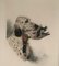 L. Riad, English Setter and Duck, 1920s, Colored Lithograph 3